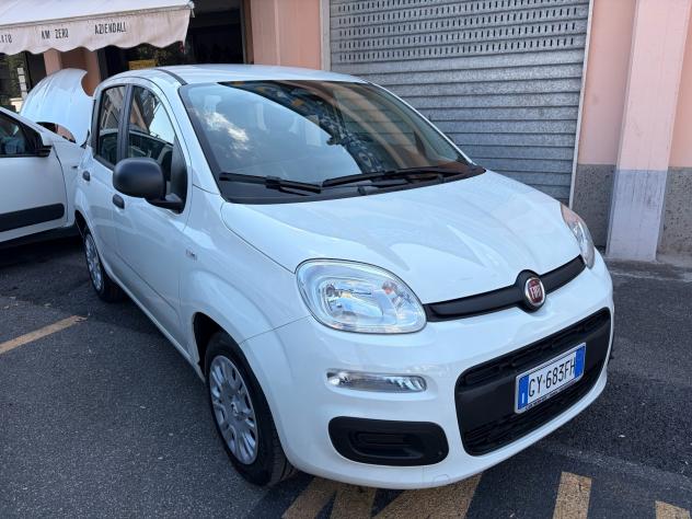 Fiat Panda 1.0 FireFly S&S Hybrid Pandina - Foto 2