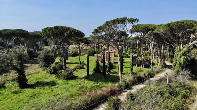 Rustico in vendita a Castagneto Carducci - Foto 6