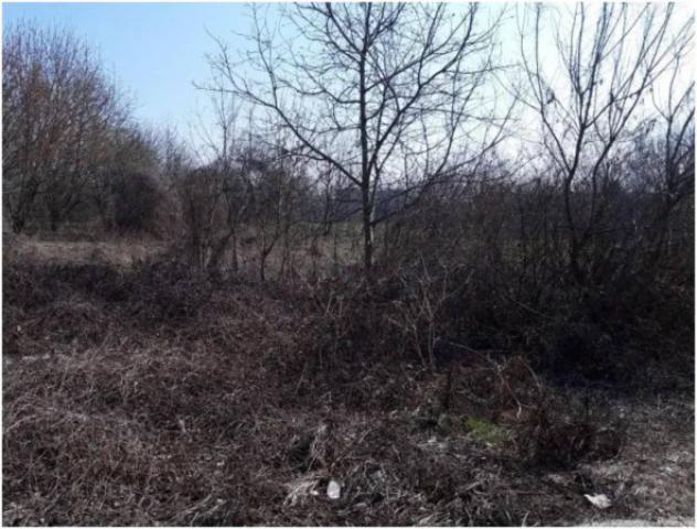 Immobile in asta di 13200 m² in vendita a Cremona - Foto 16