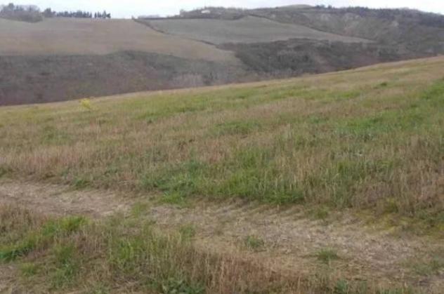 Immobile in asta di 7665 m² in vendita a Montecalvo in Foglia - Foto 2