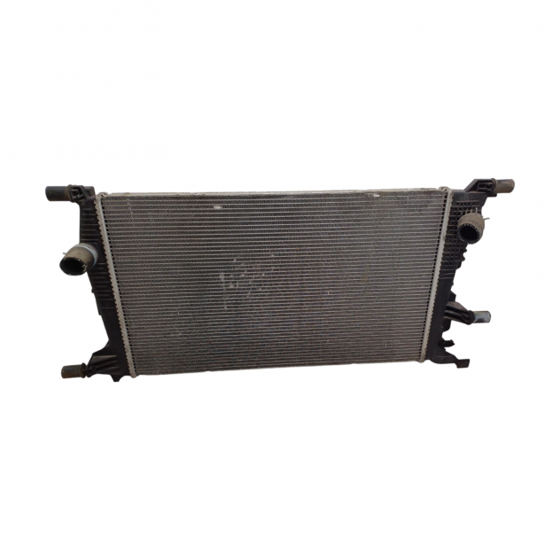 RADIATORE ACQUA RENAULT Scenic Serie 214100002R K9K 636, K9K - Annunci ...