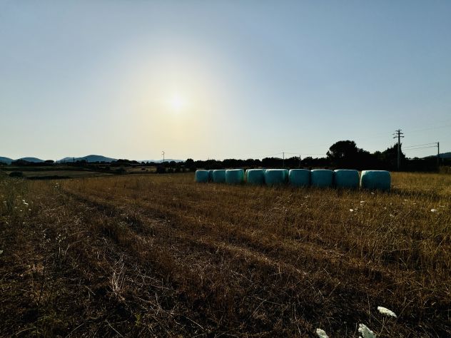 Terreno Agricolo in Bracciano - Foto 10