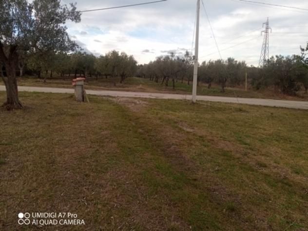 Rustico in vendita a Fossacesia - Foto 18