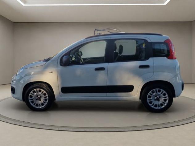 FIAT Panda 1.2 Easy rif. 24180403 - Foto 2