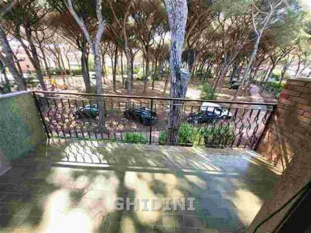 APPARTAMENTO INDIPENDENTE di 7 vani e di 220 mq (GROSSETO - ROSMARINA) rif. 2555.406M.501 - Foto 11