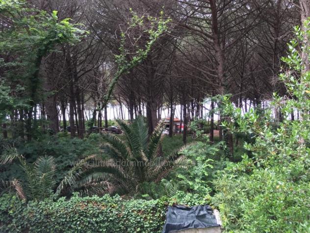 Appartamento in vendita a Rosignano Marittimo 65 mq Rif: 1309494 - Foto 9