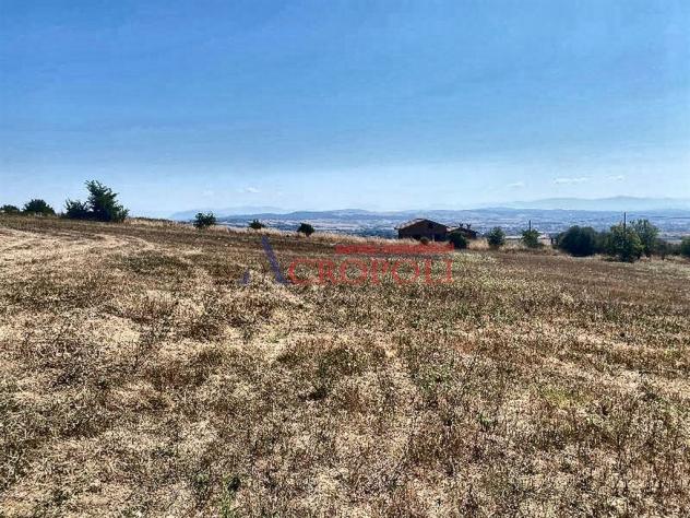 Terreno Agricolo - Rif. 2415 - Foto 12