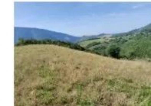 Immobile in asta di 13520 m² in vendita a Assisi - Foto 5