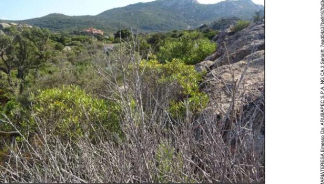 Immobile in asta di 2270 m² in vendita a Olbia - Foto 16