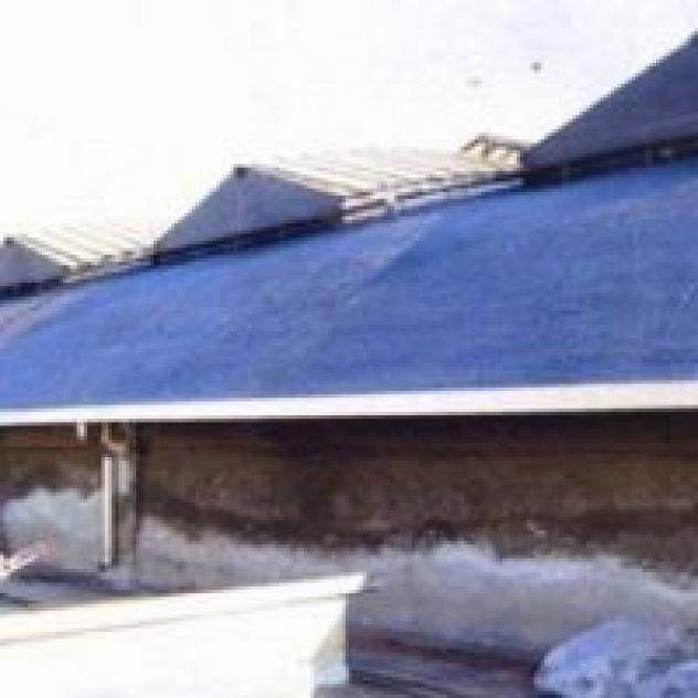 Miorini Virgilio Emmevi - Foto 4