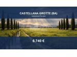 Immobile in asta di 11223 m² in vendita a Castellana Grotte