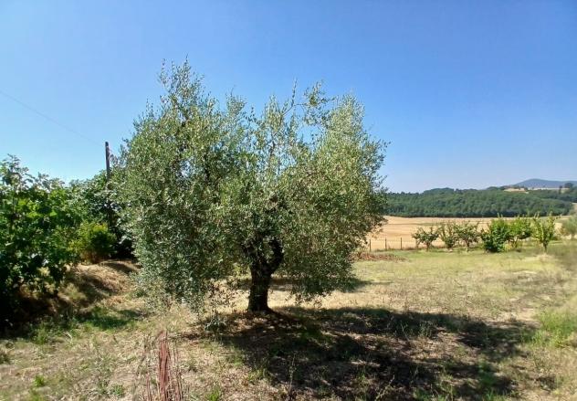 Rustico in vendita a Montecastrilli - Foto 3