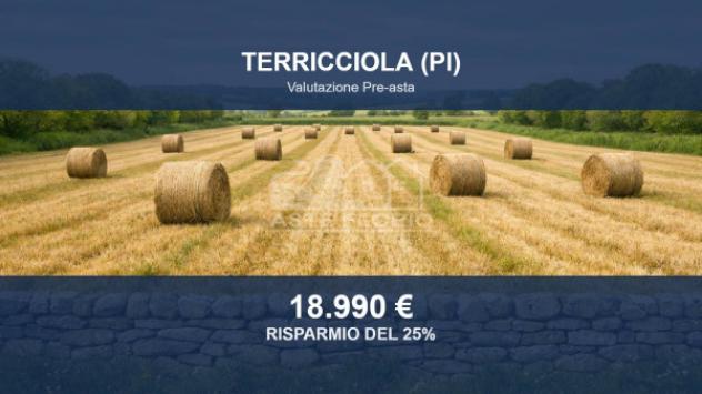 Immobile in asta di 16882 m² in vendita a Terricciola