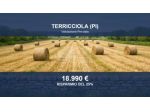 Immobile in asta di 16882 m² in vendita a Terricciola