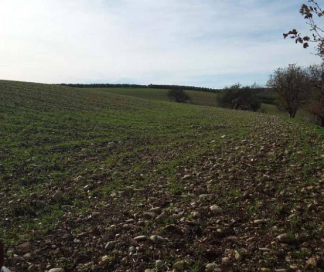 Immobile in asta di 43852 m² in vendita a Venosa - Foto 3