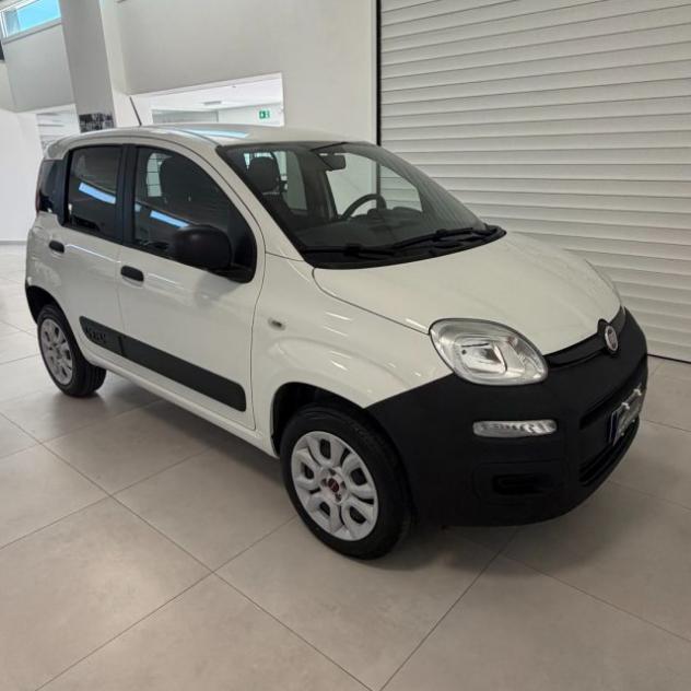 FIAT Panda 0.9 TwinAir Turbo S&S 4x4 Pop Van 2 posti rif. 23940856 - Foto 6