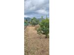 Terratetto in vendita a Gello - San Giuliano Terme 110 mq  Rif: 1399634