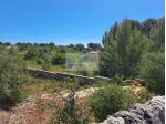 TERRENO AGRICOLO