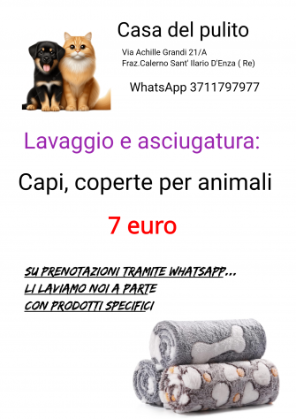 Casa del pulito Lavanderia self service al tuo domicilio - Foto 4