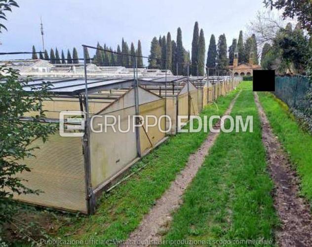 Fabbricati per attività agricole di 27005 mq in vendita a Vittorio Veneto - Rif. 4553904 - Foto 5
