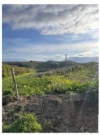 Immobile in asta di 825 m² in vendita a Moscufo - Foto 4