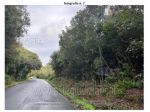 IMMOBILI-ALTRA CATEGORIA-Via del Vaiolo, 57016 Chioma LI, Italia