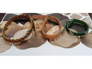 Collari Artigianali in Pelle per Cani da Tartufo - Forti e Comodi!