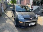 FIAT Panda 1.0 FireFly S&S Hybrid rif. 23535657