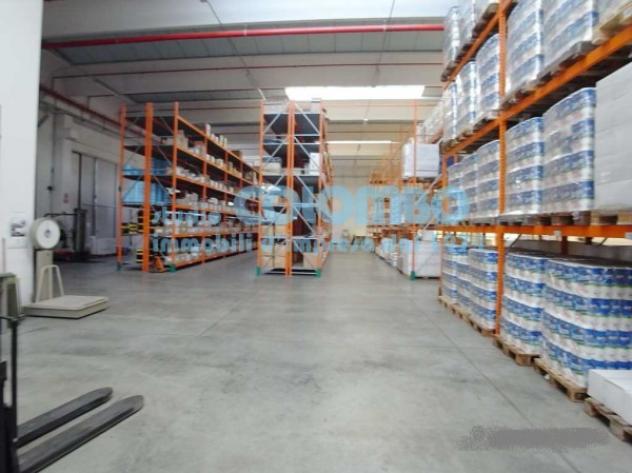 Immobile di 6100 m² con 5 locali in vendita a Castelcovati - Foto 6