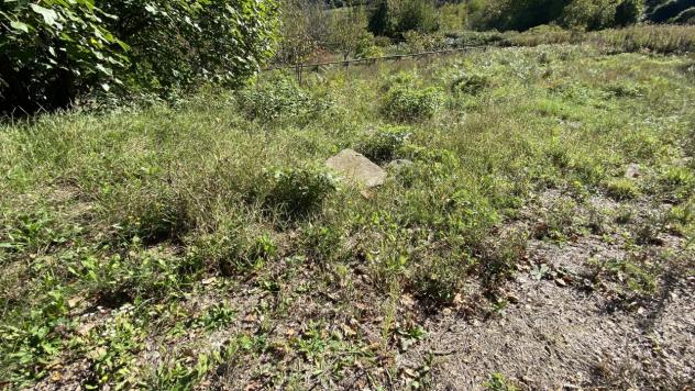 Terratetto in vendita a Dego - Foto 20