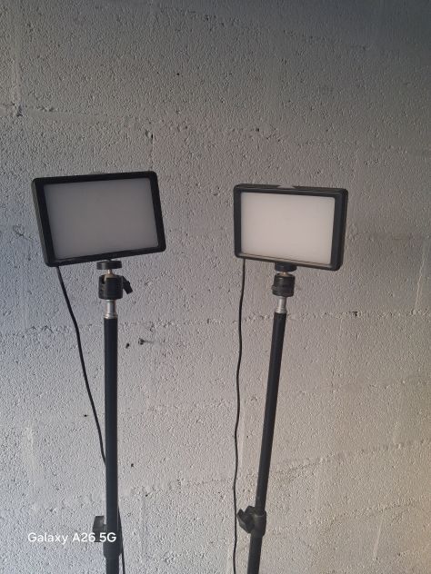 Coppia di Luci LED Pannello con Stativi Telescopici per Streaming e Foto/Video - Foto 3