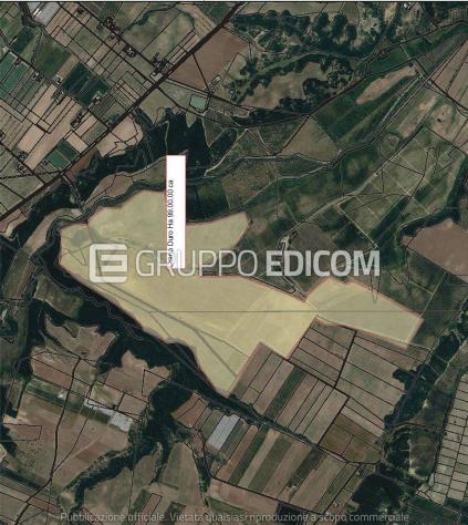Terreno in vendita a Pisticci - Rif. 4549508 - Foto 5