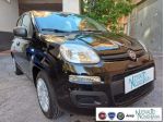 FIAT Panda 1.0 FireFly S&S Hybrid Icon 5°Posto Auto Nuova rif. 23768636