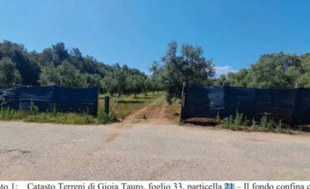 Immobile in asta di 24000 m² in vendita a Gioia Tauro - Foto 2