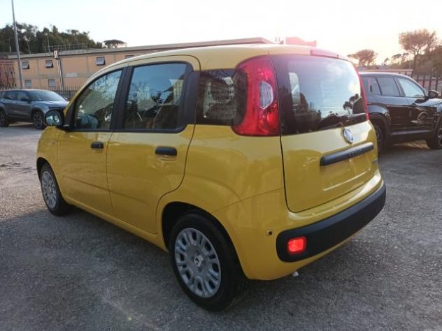 FIAT Panda 1000 HYBRID PANDINA POP 65CV ITALIA rif. 23999457 - Foto 3