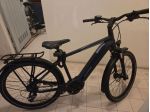 Bici elettrica