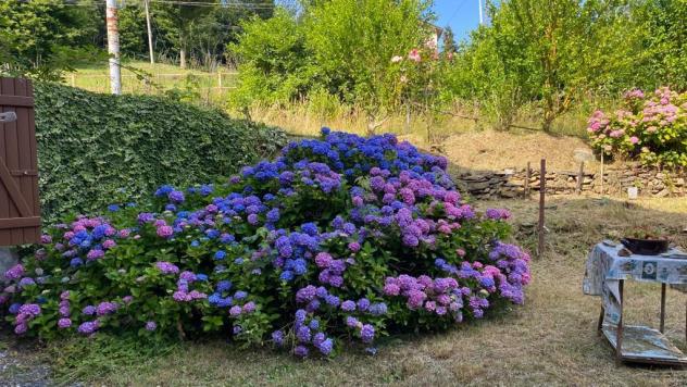 Appartamento in vendita a Urbe - Foto 6