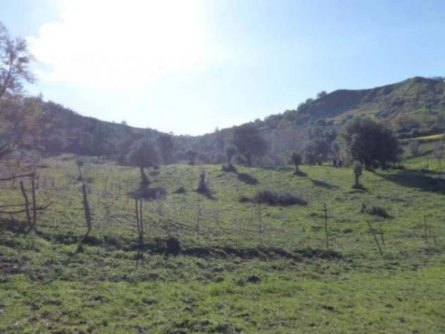 Immobile in asta di 6430 m² in vendita a Casignana - Foto 14