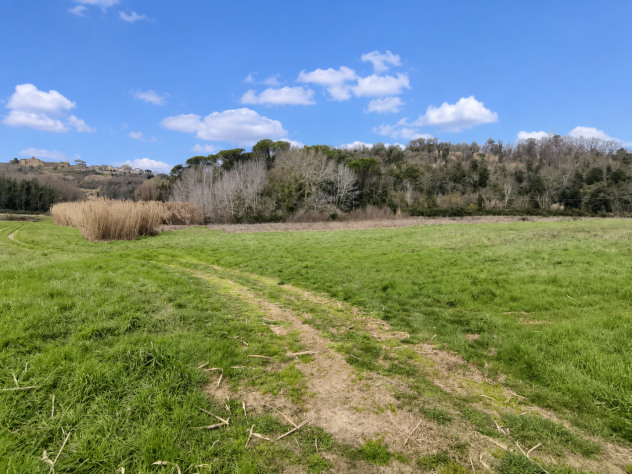 Terreno agricolo in vendita a Palaia 21620 mq Rif: 961920 - Foto 4