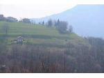 502/2023 22 BS - lotti di terreno incolti, indivisi a Livemmo