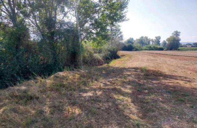 Immobile in asta di 7000 m² in vendita a Maenza - Foto 3