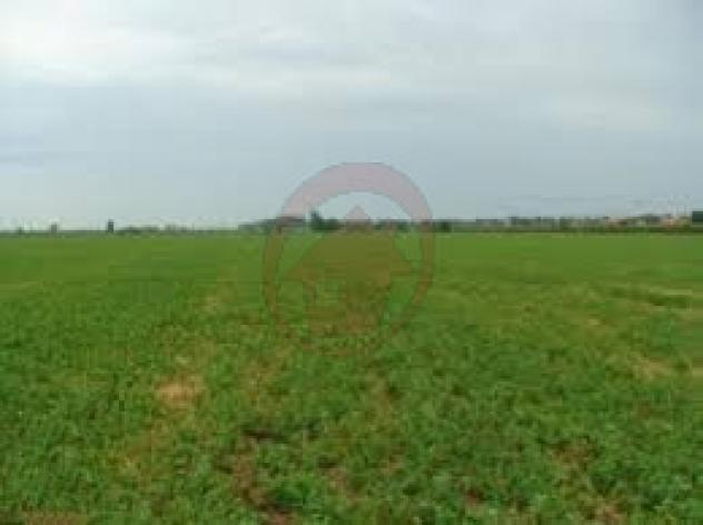 Terreno a Villanova di Camposampiero - Rif. T77 - Foto 3