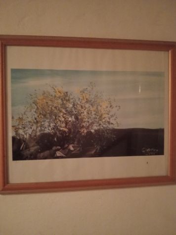 Vendo quadri - Foto 2