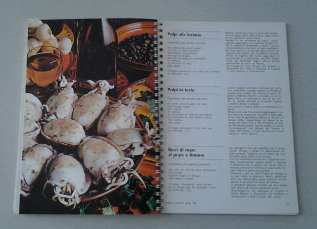 JBC - Crostacei e molluschi - Foto 10