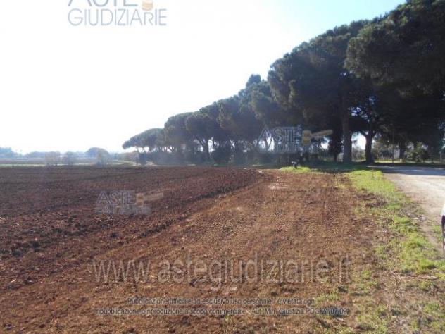 IMMOBILI-ALTRA CATEGORIA-Prati di Coppola, Latina - Foto 3
