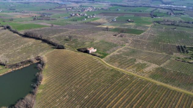 Terreno di 400000 m² in vendita a Piacenza - Foto 6