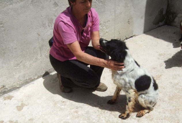 OLIVER, breton simpaticissimo - Foto 3