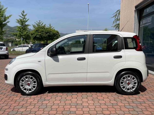 Fiat Panda 1.2 Easy - Foto 4