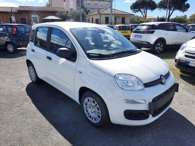 FIAT Pandina 1.0 FireFly 65cv S&S 6m Hybrid Icon