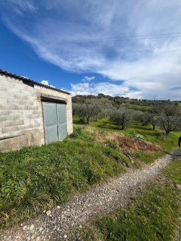 Annesso agricolo in vendita a Capannoli 6500 mq Rif: 1326738 - Foto 7